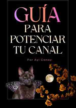 Guia para potenciar tu canal
